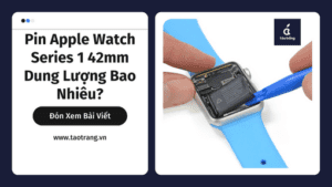 pin-apple-watch-series-1-42-mm