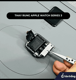 thay-cum-rung-apple-watch-series-3