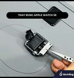 thay-cum-rung-apple-watch-series-se