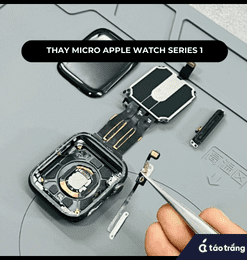 thay-micro-apple-watch-series-1