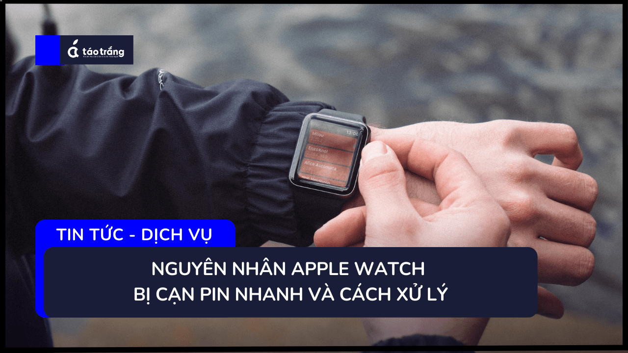 apple-watch-bi-can-pin