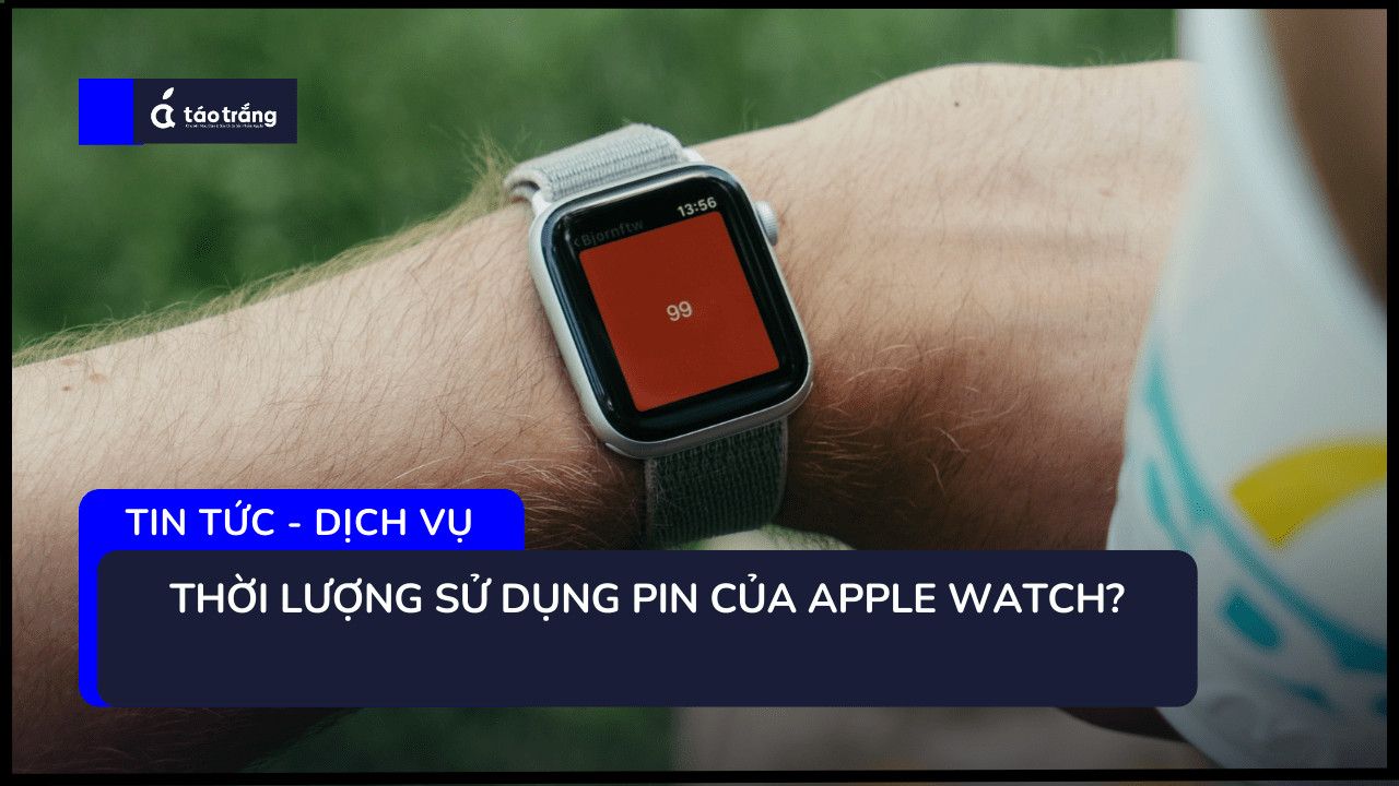 apple-watch-bi-can-pin