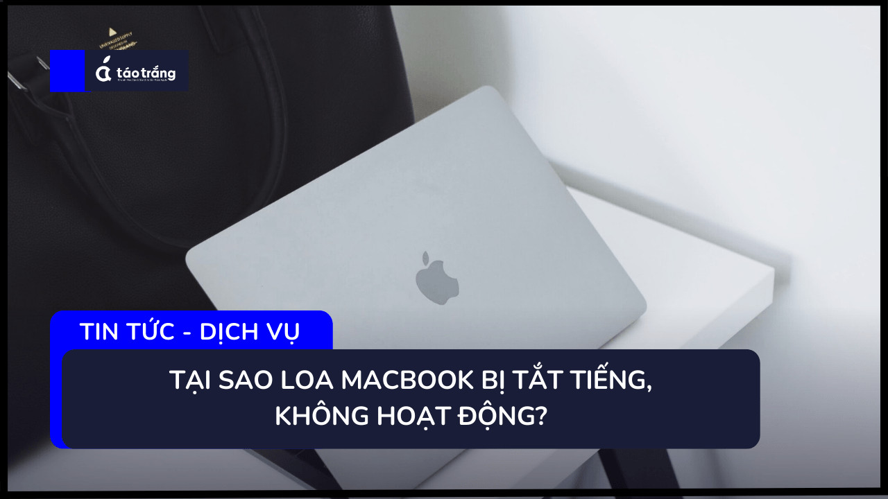 macbook-bi-tat-tieng