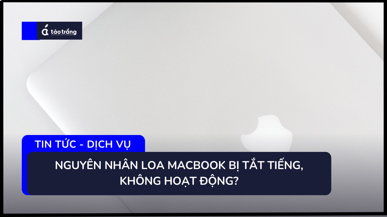 macbook-bi-tat-tieng