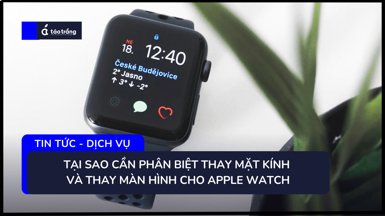 thay-mat-kinh-cho-apple-watch 