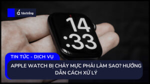 apple-watch-bi-chay-muc