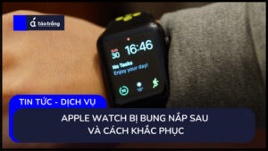 apple-watch-bung-nap-sau