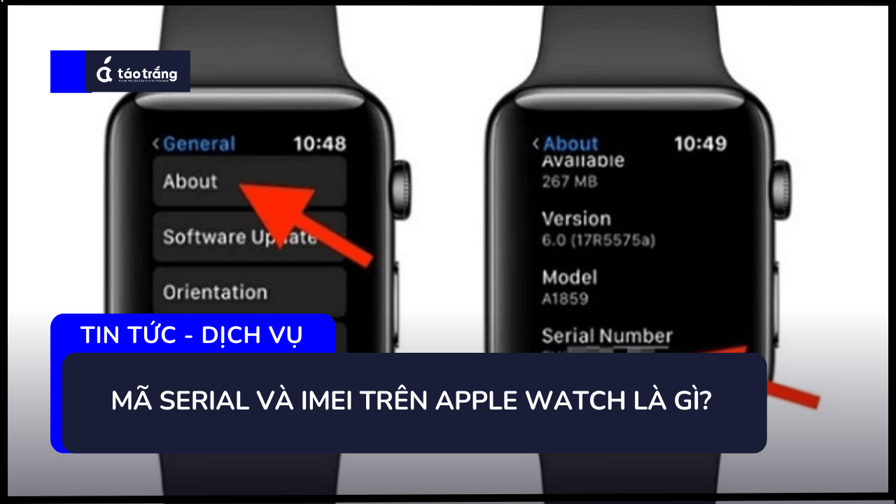 cach-kiem-tra-serial-tren-apple-watch