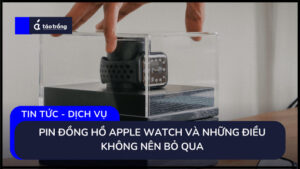 pin-dong-ho-apple-watch