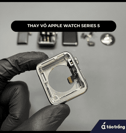 thay-vo-apple-watch-series-5