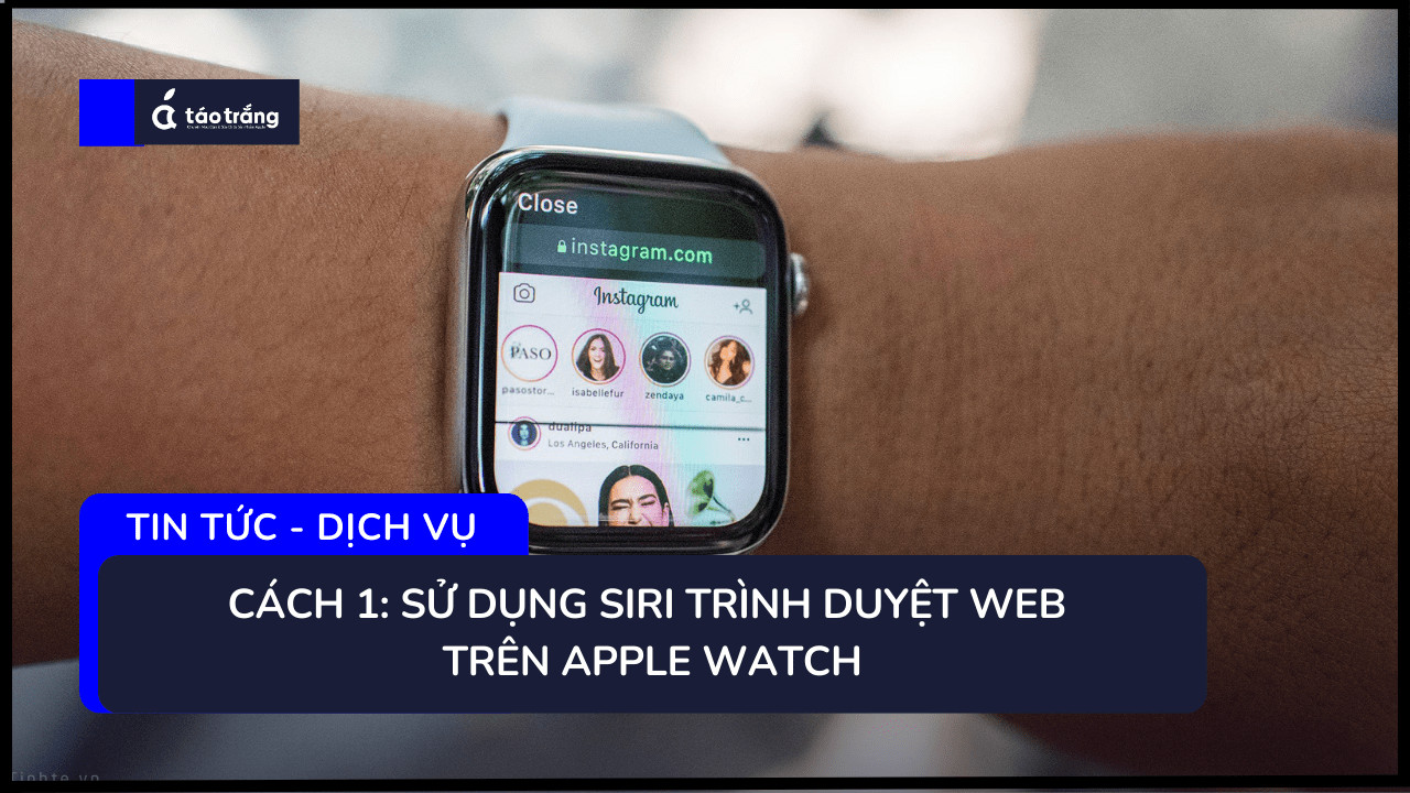 trinh-duyet-web-tren-apple-watch