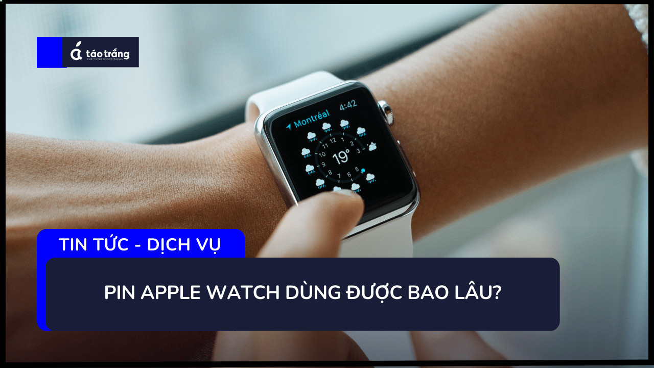 pin-apple-watch