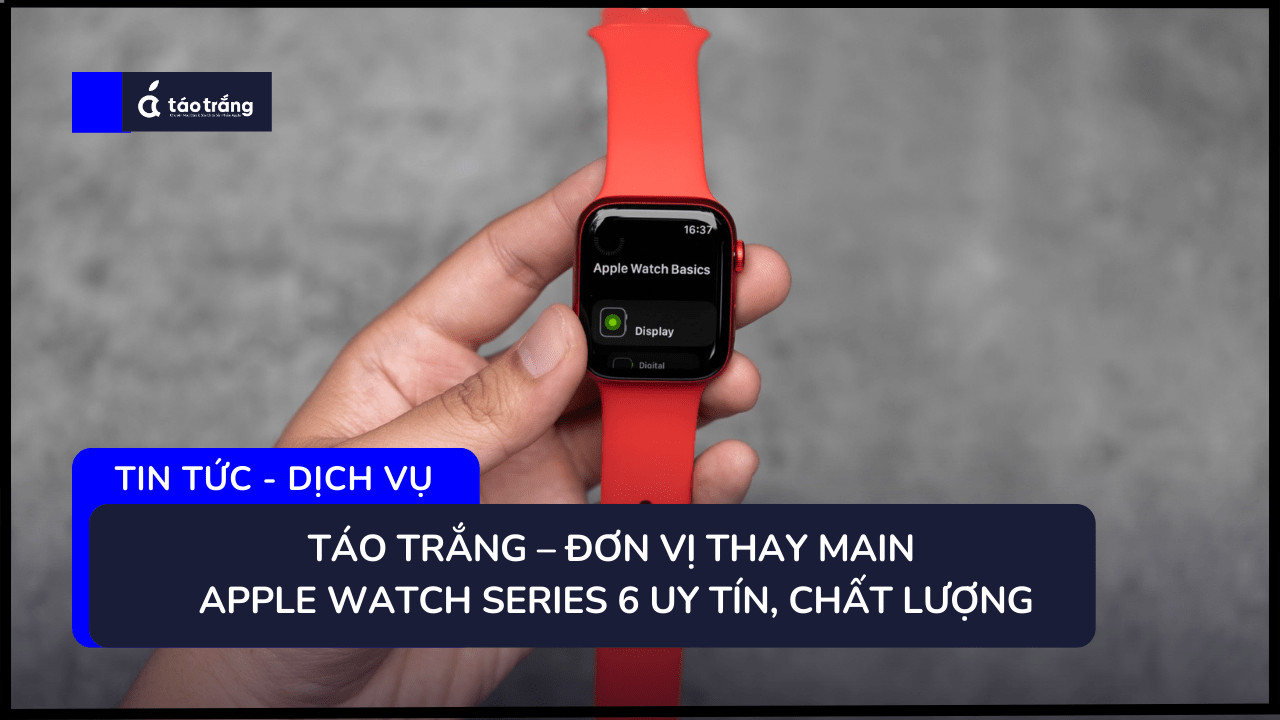 bang-gia-thay-main-apple-watch-series-6