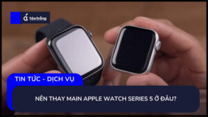thay-main-apple-watch-series-5