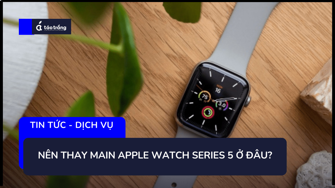 thay-main-apple-watch-series-5 