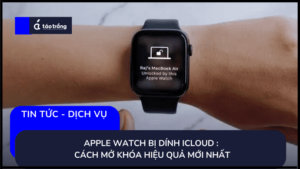 apple-watch-bi-dinh-icloud