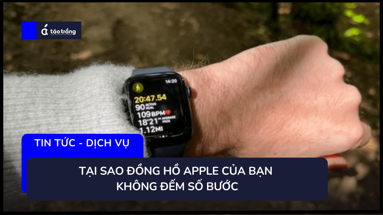 apple-watch-khong-dem-so-buoc (