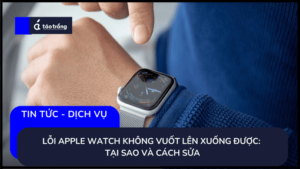apple-watch-khong-vuot-len-xuong-duoc