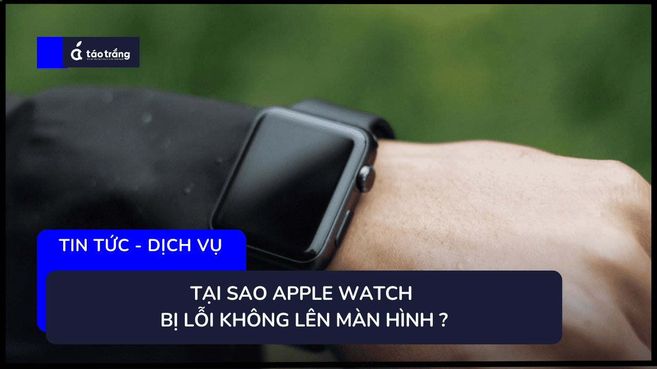 loi-apple-watch-khong-len-man-hinh