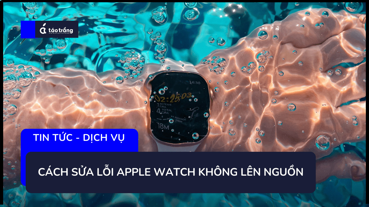 loi-apple-watch-khong-len-nguon