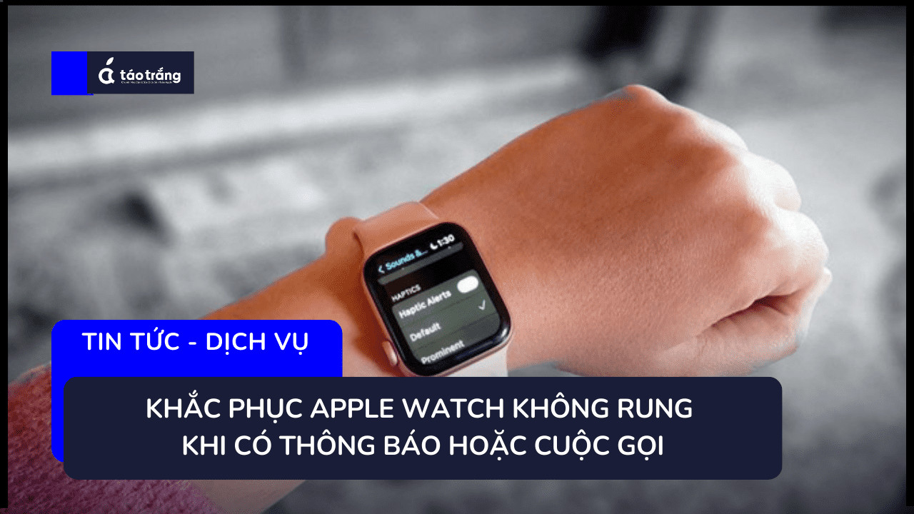 loi-apple-watch-khong-rung 