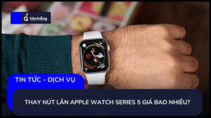 thay-nut-lan-apple-watch-series-5