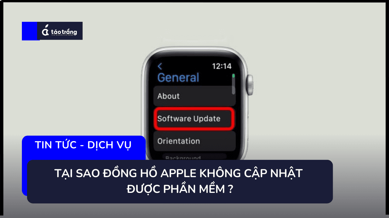 apple-watch-khong-cap-nhat-phan-mem-duo