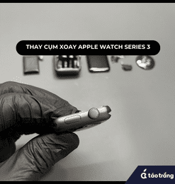 thay-cum-xoay-chuc-nang-apple-watch-series-3