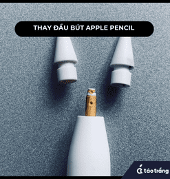 thay-dau-but-apple-pencil