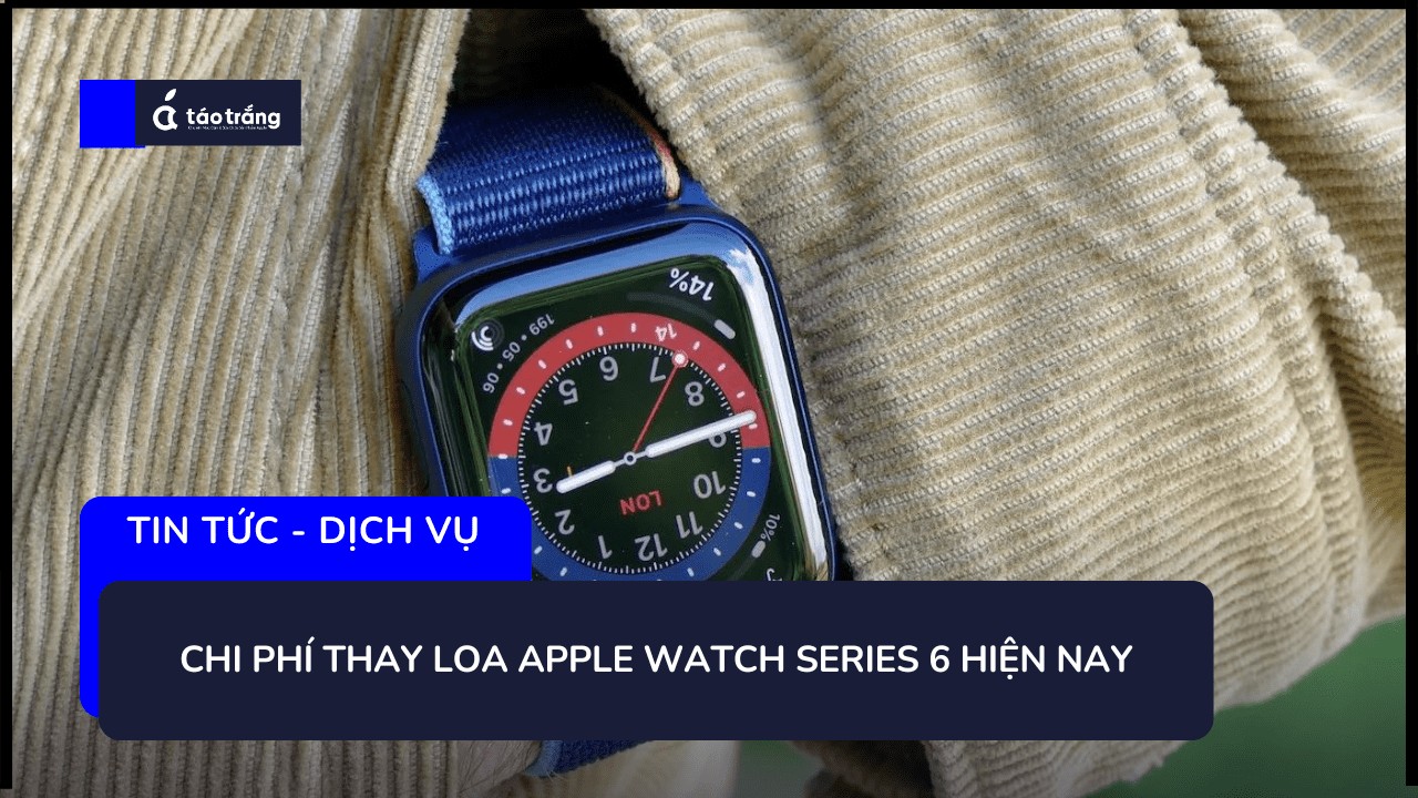 dia-chi-thay-loa-apple-watch-series-6-uy-tin-nhat (2)