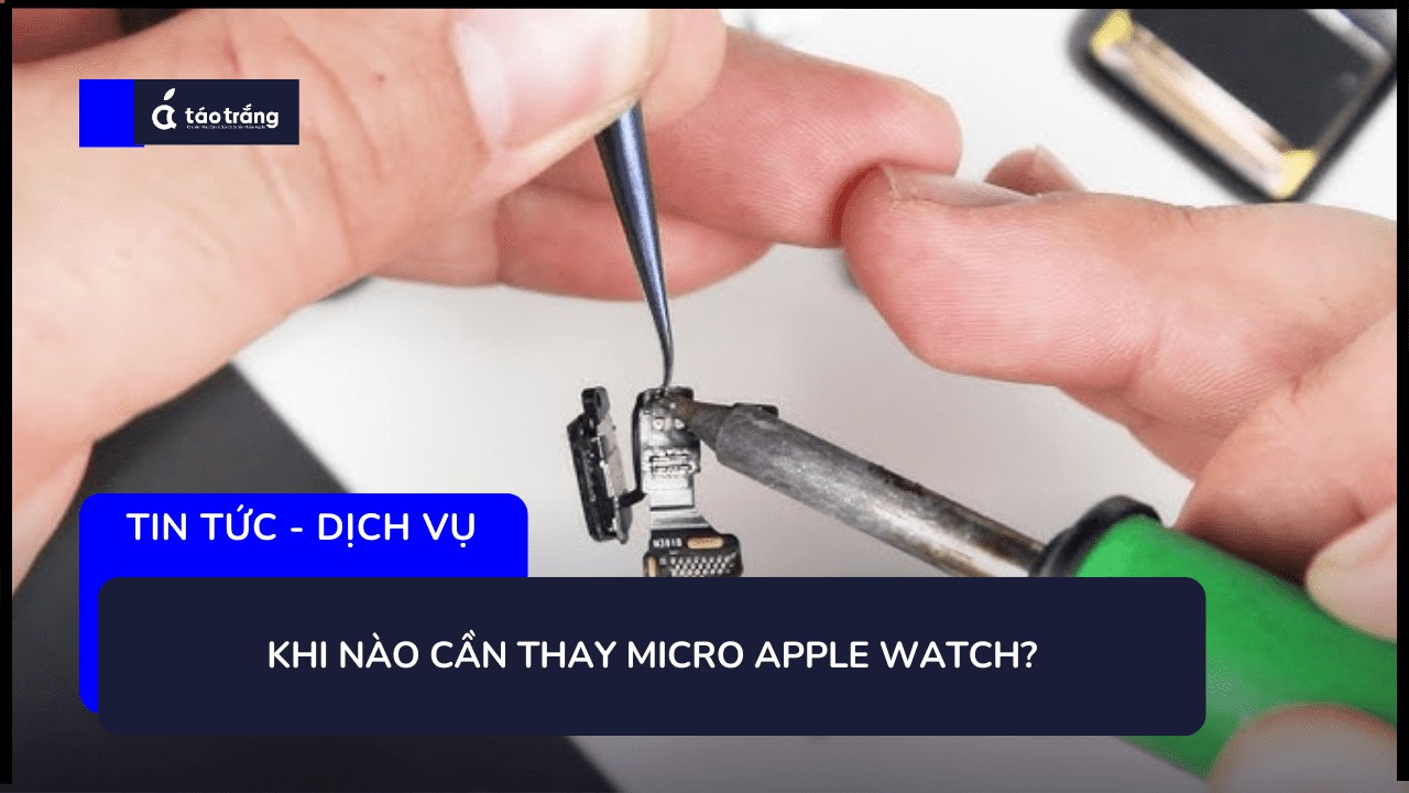 gia-thay-micro-apple-watch (2)