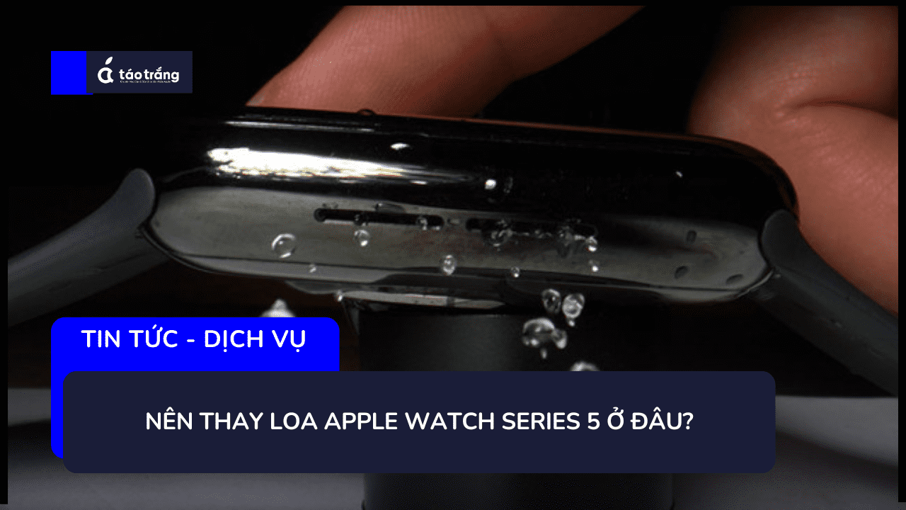 nen-thay-loa-apple-watch-series-5-o-dau