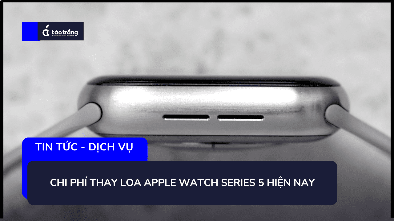 nen-thay-loa-apple-watch-series-5-o-dau