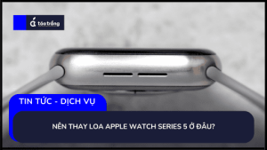 nen-thay-loa-apple-watch-series-5-o-dau