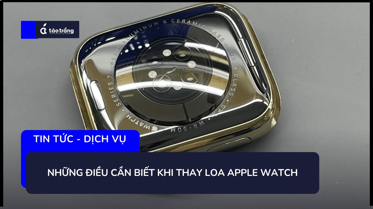 thay-loa-apple-watch-chinh-hang-gia-tot (2)