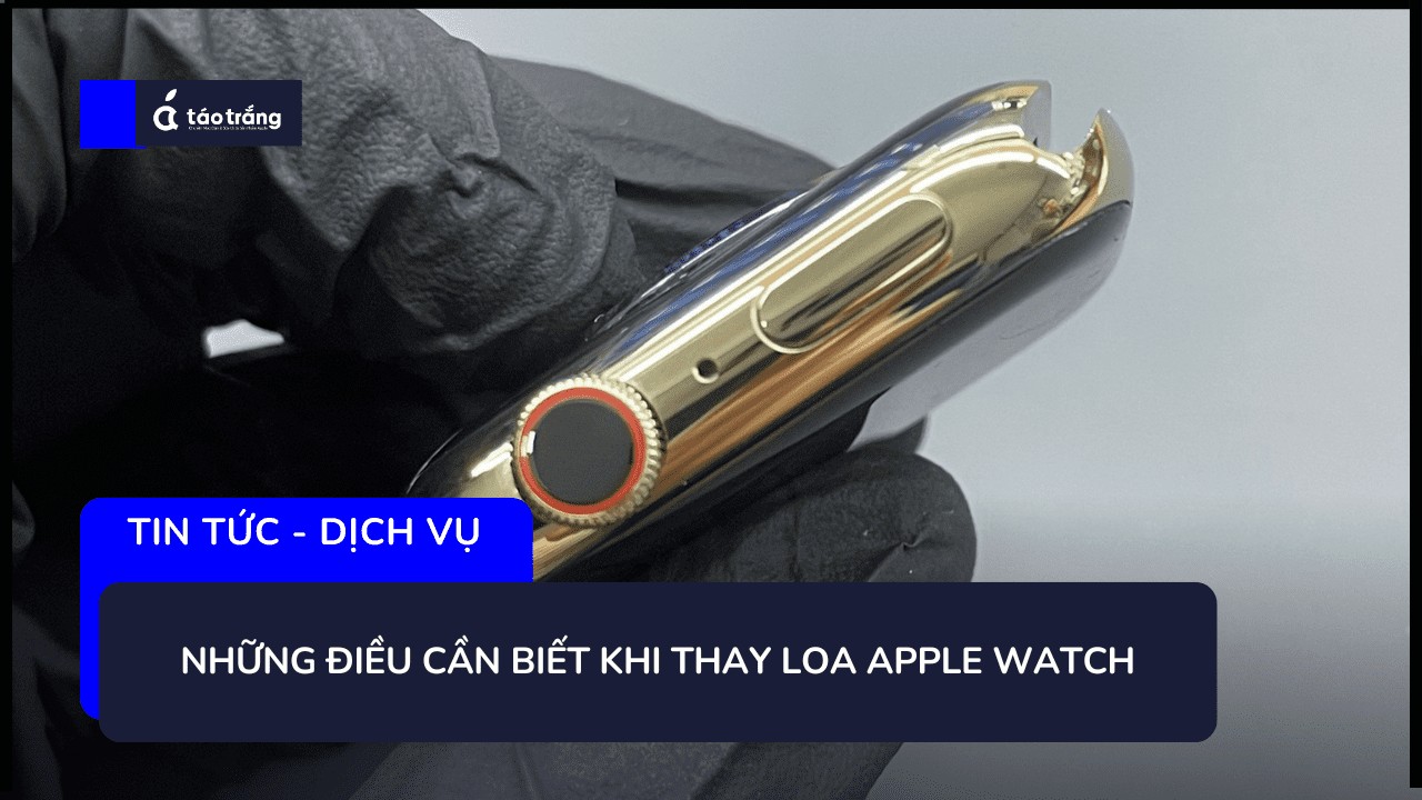 thay-loa-apple-watch-chinh-hang-gia-tot (2)