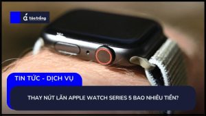 thay-nut-lan-apple-watch-series-5-bao-nhieu-tien (2)