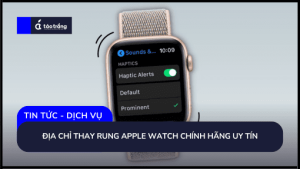 dia-chi-thay-rung-apple-watch-chinh-hang-uy-tin (1)