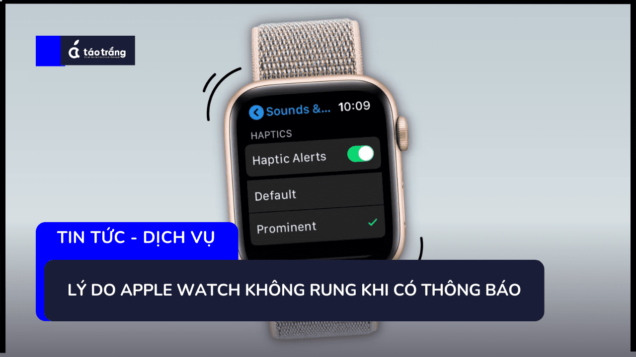 dia-chi-thay-rung-apple-watch-chinh-hang-uy-tin (1)