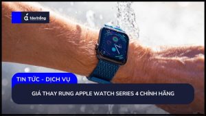 gia-thay-rung-apple-watch-series-4-chinh-hang (1)