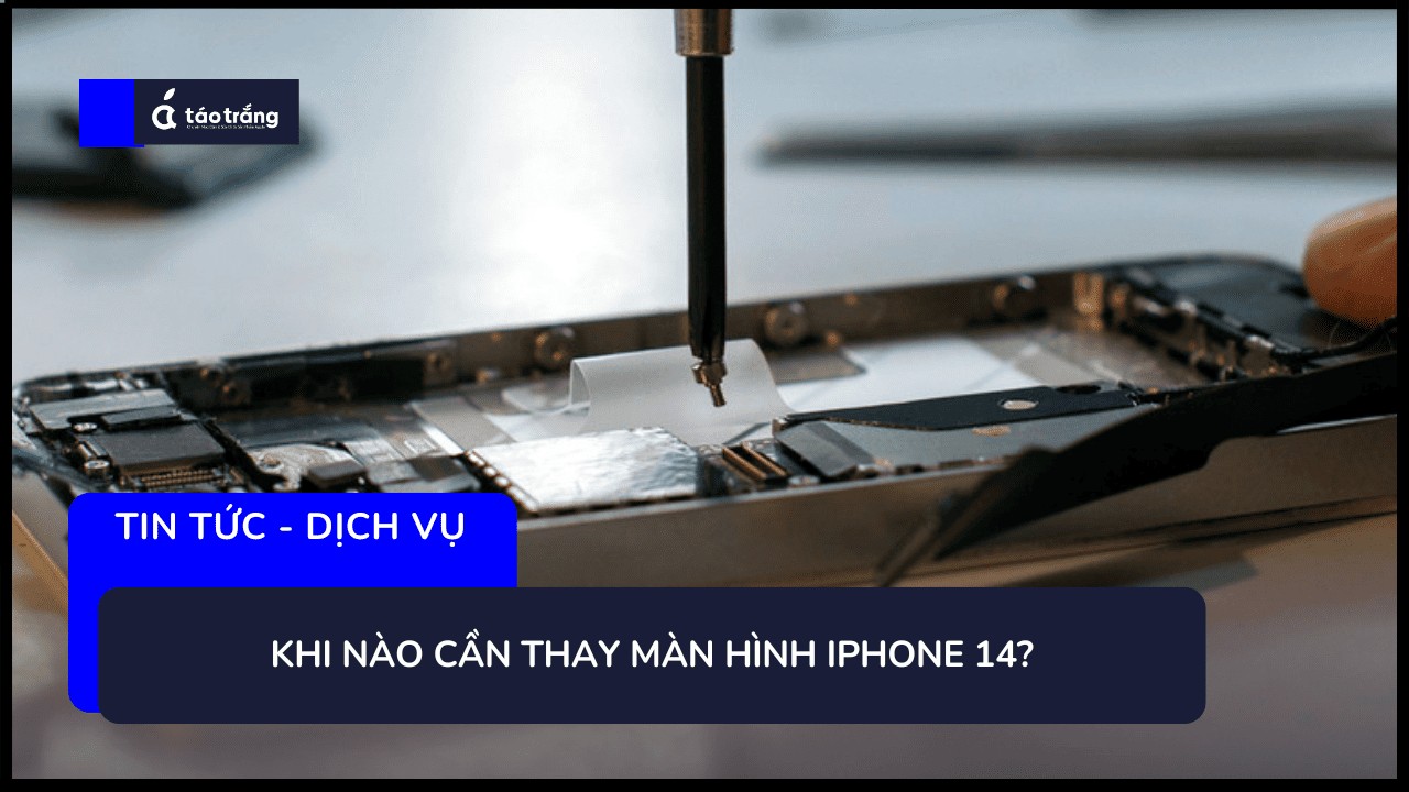 bang-gia-thay-pin-iphone-14-chinh-hang (1)