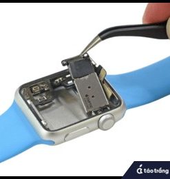 thay-cum-rung-apple-watch-series-10-se-2-2022 (1)