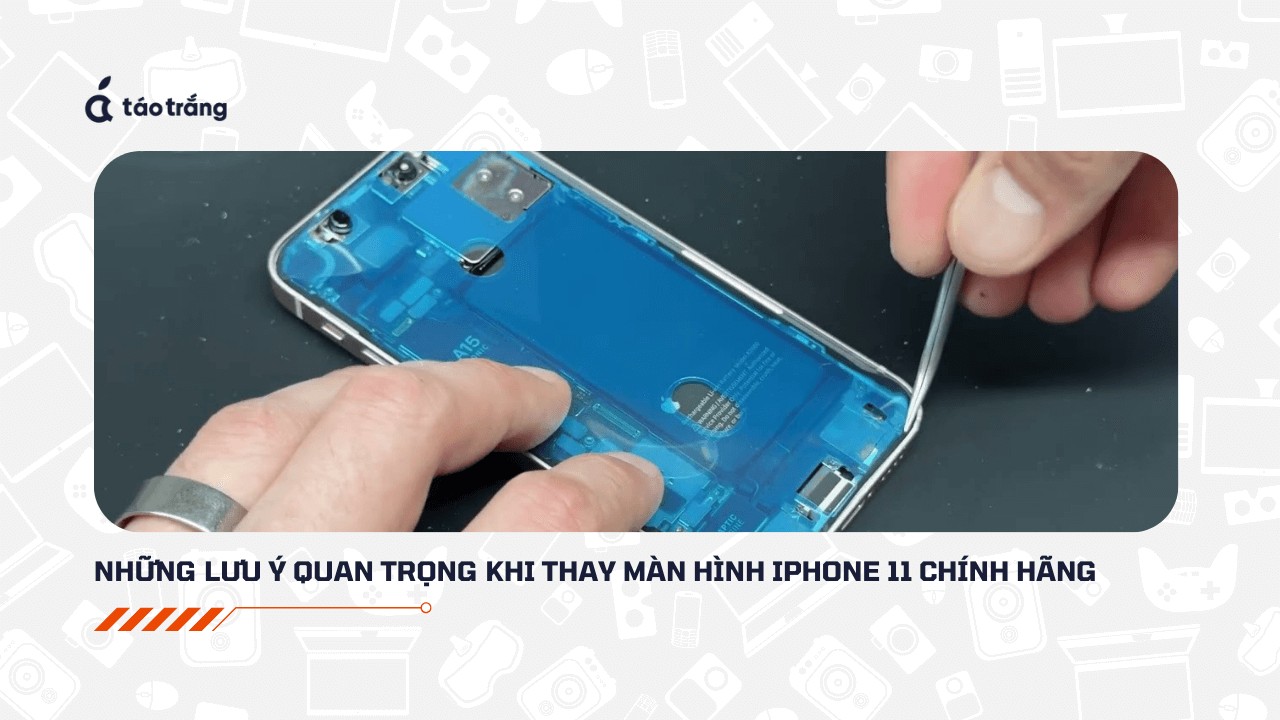 gia-va-nhung-luu-y-khi-thay-man-hinh-iphone-11-chinh-hang (1)